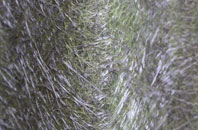 Dechmont fibreglass roof work